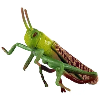 FUNOMOCYA Simulation Heuschrecke Modell Aus Kunststoff 7X2.5X5 cm Realistische Insekten Figur Für Schulunterricht Und Biologie Lernen