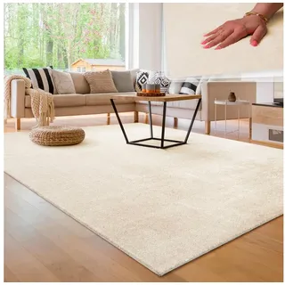 Paco Home Cadiz 630 Kurzflorteppich 160 x 220 cm cream