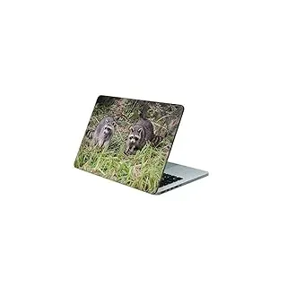 Skins4u Folie Sticker Skin Vinyl Aufkleber mit farbenfrohen Motiven für bis 15.6 Zoll 38.1x26.7cm Laptop Skin Decal Cover Waschbaeren