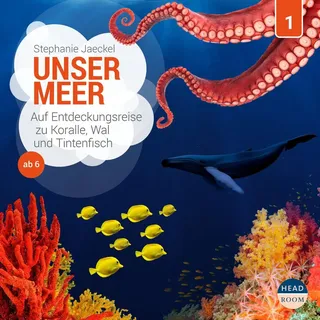 Unser Meer - Auf Entdeckungsreise zu Koralle Wal und Tintenfisch von Stephanie Jaeckel / USM / MP3 Hörbuch