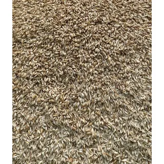 Generisch SpelzKraft Dinkelspelzen Bio lose, 1,5kg bis 10kg, Gereinigt und Entstaubt, Spelzen für Kissen und Dinkelspelz als Einstreu geeignet für Pferde (5, Kilogramm)