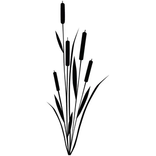 Wandtattoo Schilf S - 20cm x 50cm - Duvar Tattoo - 23 mögliche Farben