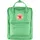 16 l apple mint