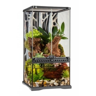 Exo Terra Terrarium aus Glas, mit einzigartiger Front Belüftung, 30 x 30 x 60cm, auch als Paludarium nutzbar