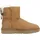 chestnut 39