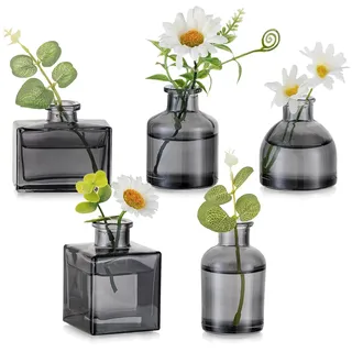 Hewory Kleine Vasen für Tischdeko Esstisch: 5er Grau Mini Vasen Set Verschiedene Kleine Glasvasen Set für Tisch Deko Wohnzimmer - Modern Blumenvase Glas für Hochzeitsdeko Home Schlafzimmer