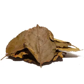 Garnelio Naturprodukte Apfelbaumblätter, 20 Blätter