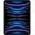 256 GB Wi-Fi + Cellular silber
