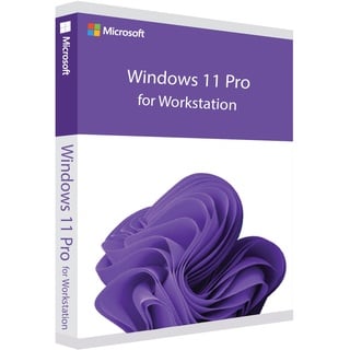 Microsoft Windows 11 Pro for Workstation