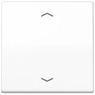 Jung Wippe Symbole aws für Taster AS 591 P WW