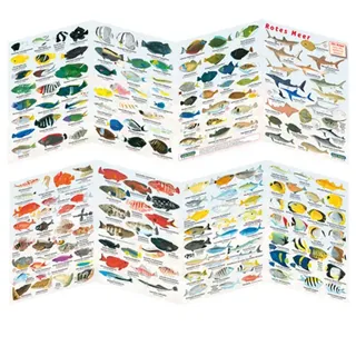 Fischfaltblatt - rotes Meer