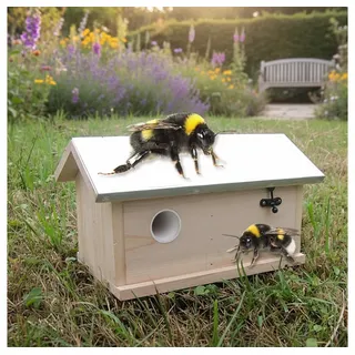 Mucola Nistkasten Hummelhaus Hummelkasten Nistkasten Insektenhaus Haus Insektenhotel XXL, Chinesische Fichte braun