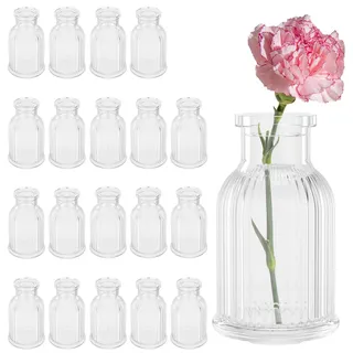 20 Stück Kleine Glasvasen,90ml Vasen Glas für Blumen Bud Trockenblumen Pflanzen,Blumenvasen,Gestreifte Mini Vase,Blumenvasen Modern für Tischdeko,Hochzeit Deko,Geburtstag Deko,Gartenparty(20PCS)