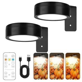 2 Stück Bilderleuchte Kabellos, Magnetisches Mallicht mit 3 Beleuchtungsmodi Bildbeleuchtung Kabellos Led Spot Akku, Bilderleuchte mit Fernbedienung und Timer Kunstleuchten für Malen Foto (Schwarz)