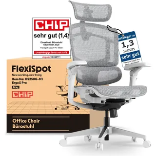 FLEXISPOT ErgoX Pro Ergonomischer Bürostuhl mit 12-stufiger Höhenverstellung, Schreibtischstuhl mit 7D-Armlehnen, 5D-Lendenstütze, 4D-Kopfstütze, 250 kg Belastbarkeit und Netzsitz (Grau)