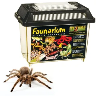 Exo Terra Faunarium 23 cm x 15,5 cm x 16,5 cm