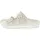 Eggshell 41