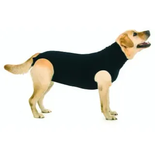 Suitical Recovery Shirt Hund Schwarz L