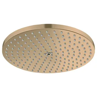 Hansgrohe Raindance S Kopfbrause 28821140,