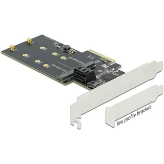 DeLock 90499 PCI-Express Karte M.2 SATA PCIe