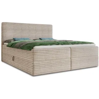 Sofnet Boxspringbett Mollo mit 2 Bettkästen 180 x 200 cm Tilia 03
