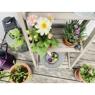 butenkist Blumentreppe Gesa 40 x 48 x 105 cm Warm Grey