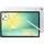 13.1'' 256 GB Wi-Fi Silver