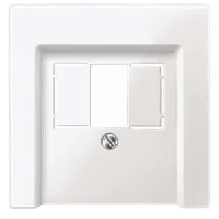 Merten Zentralplatte pws/gl 296019