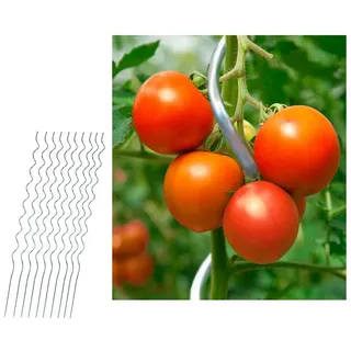 Home4Living Rankhilfe Tomatenstäbe Tomatenspiralstab Tomatenstange 10er Set Spiralstab, verzinkt, langlebig, wiederverwendbar grau