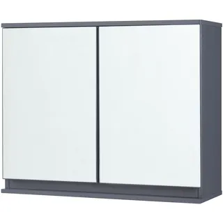 [en.casa] Spiegelschrank Overath 60x20x50 cm Grau