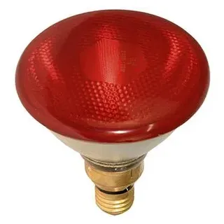Kerbl Infrarotlampe Sparlampe (175 W,