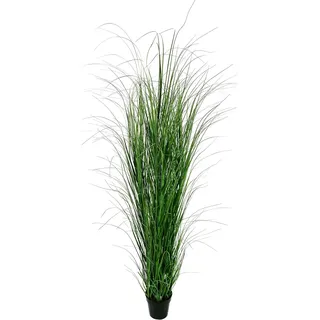 Klocke Kunstpflanzen Dekogras im Topf - Künstlich & Naturgetreu - Höhe: 180cm -