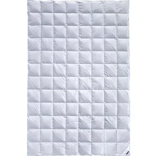 billerbeck Clivia 90 135x200 cm