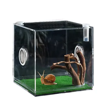 Qfdiwr Springspinnen Gehege, Springspinne Habitat, Acryl Vogelspinnen Gehege, Spinnen Terrarium Kit, Springspinne Wohnraum, Spinnenkäfig, Käfer Terrarium, Insektenterrarium, 5,5x5,5x5,5 cm