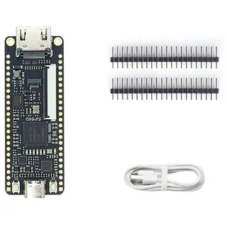 Nano 9K FPGA Development Board GOWIN GW1-9 RISC-V -Kompatibel