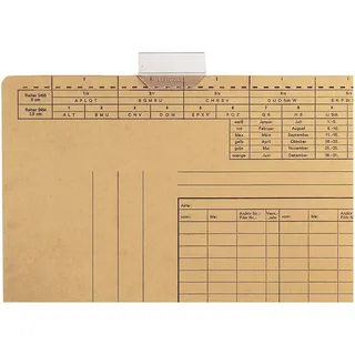 Leitz Vollsichtreiter 2455 transparent, 5x3 cm