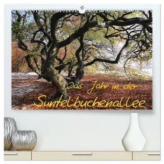 Das Jahr in der Süntelbuchenallee (hochwertiger Premium Wandkalender 2026 DIN A2 quer), Kunstdruck in Hochglanz: Fotos von der jahreszeitlichen ... von Bad Nenndorf (CALVENDO Natur)