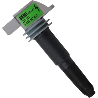 BorgWarner (Beru) Zündspule