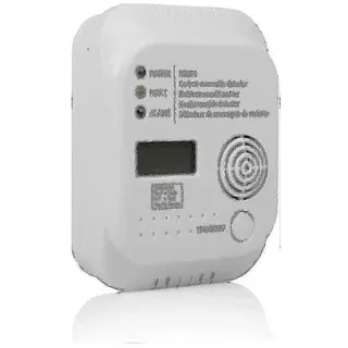 Kohlenmonoxidmelder Rm370 2025