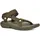 olive 44,5