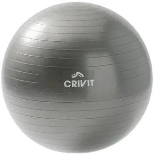 Crivit Soft Gymnastikball GRAU Ø 65 cm bis 120 kg Training Sitzhaltung