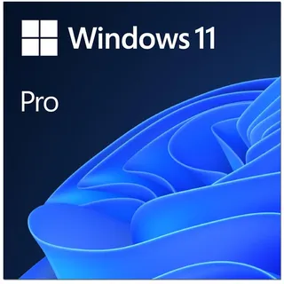 Microsoft Windows 11 Pro ESD DE