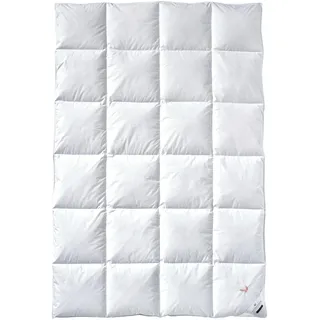 Billerbeck Daunendecke - E04 Gold Edition - Bettdecke für den Sommer - 135 x 200 cm Decke mit echten Daunen - Wärmestufe Sommerleicht