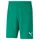 Teamrise Shorts Grün 176