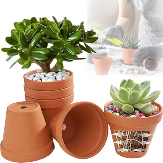 Cerkkapo Terrakotta Topf Ø 12 cm,6er Set Blumentopf Terrakotta,Tontöpfe mit Abflussloch,Kleine Tontöpfe zum Basteln,Wiederverwendbar Terracotta Blumentopf,für Zimmer Büro Innenräume und Gärten