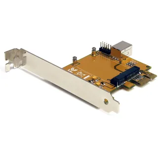 Startech StarTech.Com PEX2MPEX PCI-e auf Mini PCI-e Karte Adapter | Für standardmäßige vollwertige Mini PCIe-Karten, komplettes Passthrough-Design, mit Slotblech