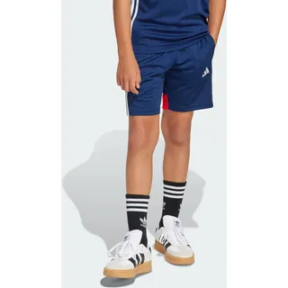 adidas Tiro 25 Essentials Shorts - team navy blue/red 164