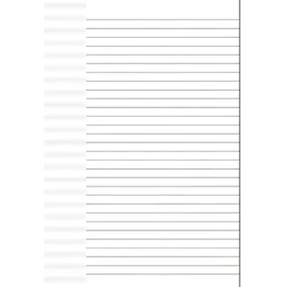 Brunnen Kanzleibogen A4 Lineatur25 50erPack 102142550