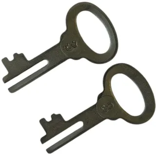 Schlüssel für Spardosenschloss - 2 Stück - Ersatz Schlüssel