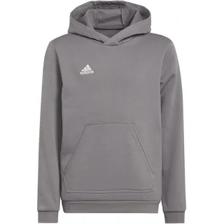 Adidas Entrada 22 Sweat Hoodie Team Grey Four, 140